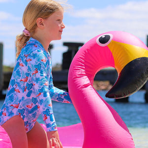Long Sleeve Swimsuit | Flamingo Fun